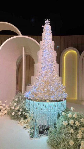 شاهد .. صور من زفاف الشيخة مهرة بنت محمد بن راشد آل مكتوم الأسطوري وجمالها حديث الجمهور