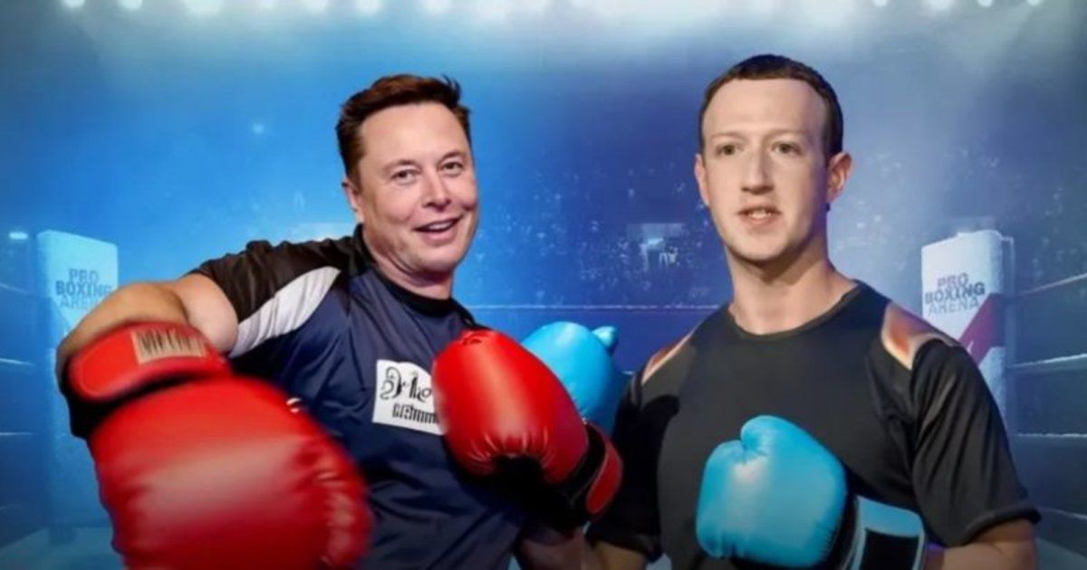 شاهد .. إيلون ماسك ومارك زوكربيرغ في نزال على حلبة ملاكمة قريباً