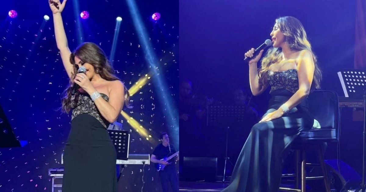 شاهد .. سعر مرتفع لـ فستان إليسا في حفلها الأخير .. من تصميم روبرتو كفالي