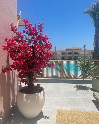 شاهد .. بالصور- إطلالة مميزة لـ درة التونسية