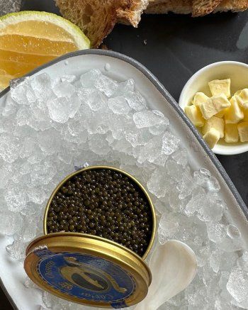 شاهد .. هيفا وهبي تأكل الكافيار وتستعرض رشاقتها بـ"الكاش مايو" في الساحل الشمالي-بالصور