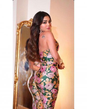 شاهد .. سعر مرتفع لـ جامبسوت هيفا وهبي في حفلها بالساحل الشمالي.. فكم بلغ؟