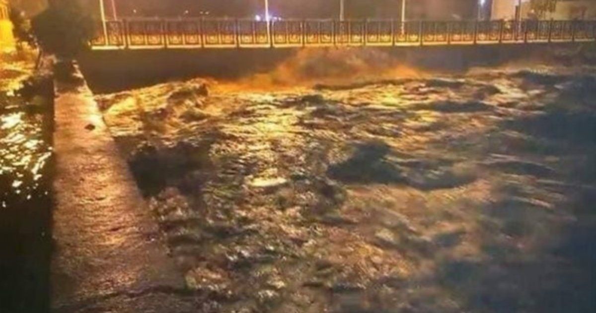 شاهد .. ماغي بو غصن ونوال الزغبي وناصيف زيتون ورحمة رياض وغيرهم يعلقون على إعصار ليبيا