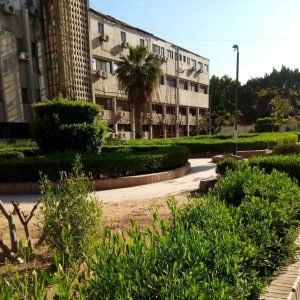 أخبار مصر | مصاريف المعهد العالي للتعاون الزراعي بشبرا الخيمة 2024 .. شوف الزيادة الجديدة وصلت كام