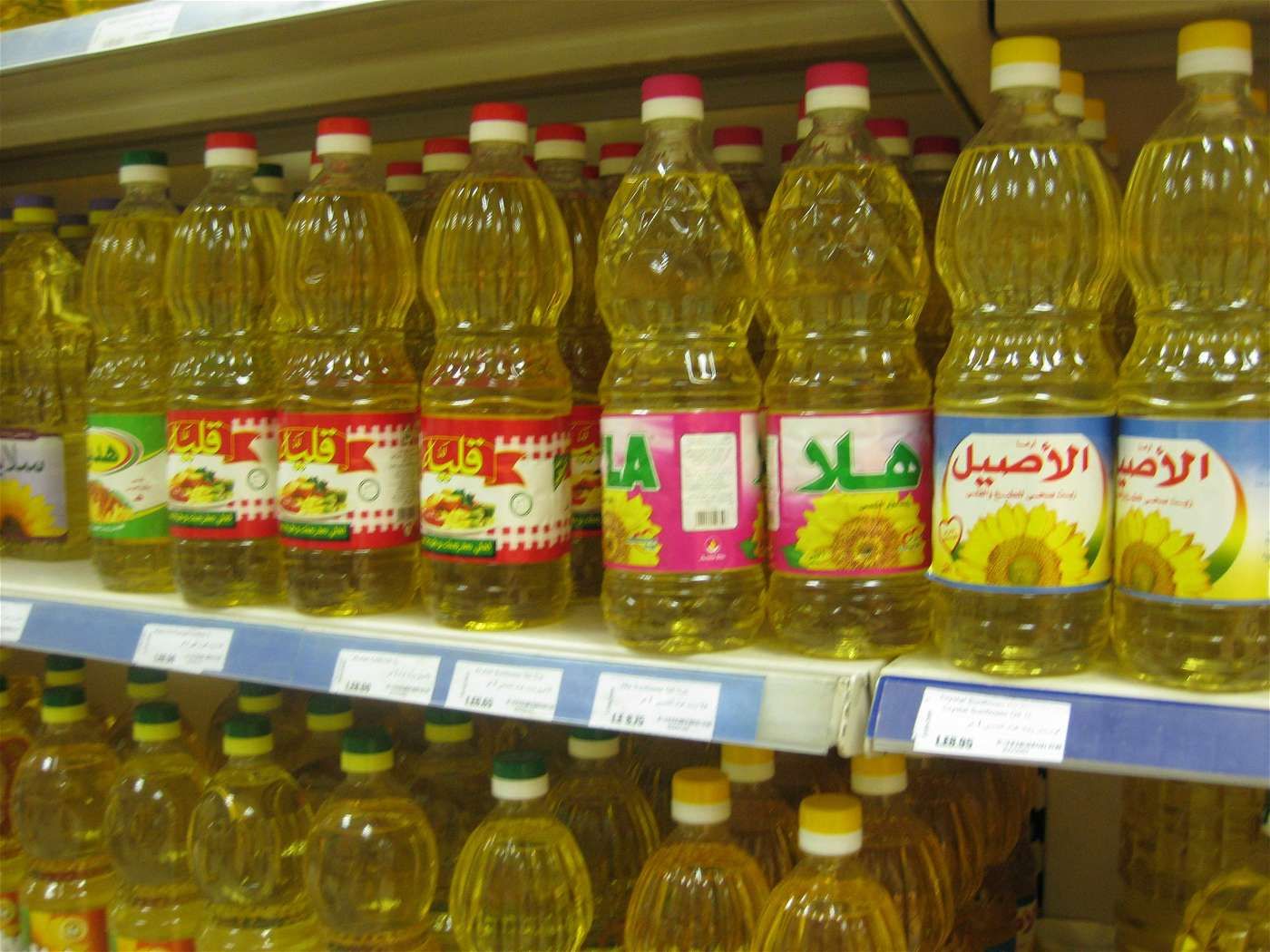 عاجل من التموين بشأن الزيت والسكر والفراخ.. بسرعة اعرفوا إيه اللي حصل؟