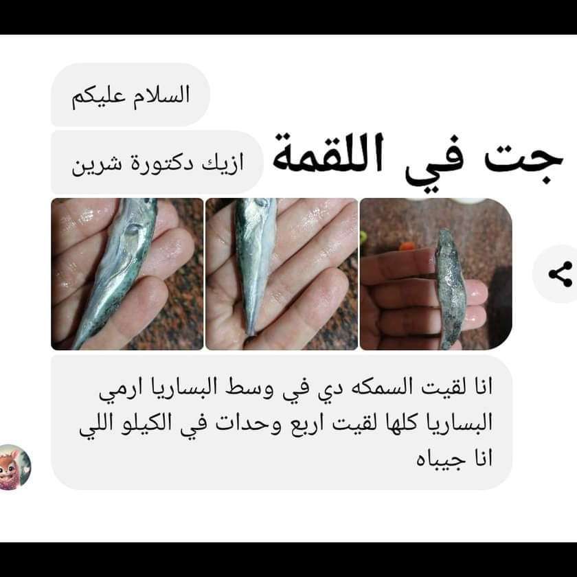 تحذير للمصريين| البساريا فيها سم قاتل.. يؤدي للوفاة خلال ساعات