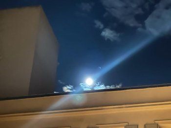 شاهد .. جورجينا رودريغز تخطف الأنظار بإطلالتها الجريئة