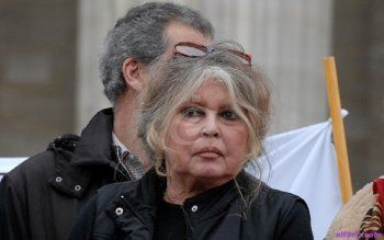 شاهد .. نجمات عالميات وعربيات أصبن بسرطان الثدي ولم يستطع أن يهزمهن