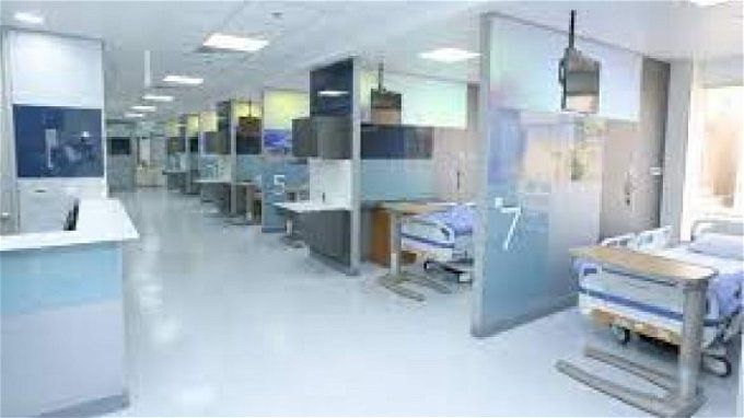 أخبار مصر | عصابة الدكتور فؤاد.. ميكانيكي يسرق 328 كلية من أجساد البشر ويبيعها لتجار الأعضاء