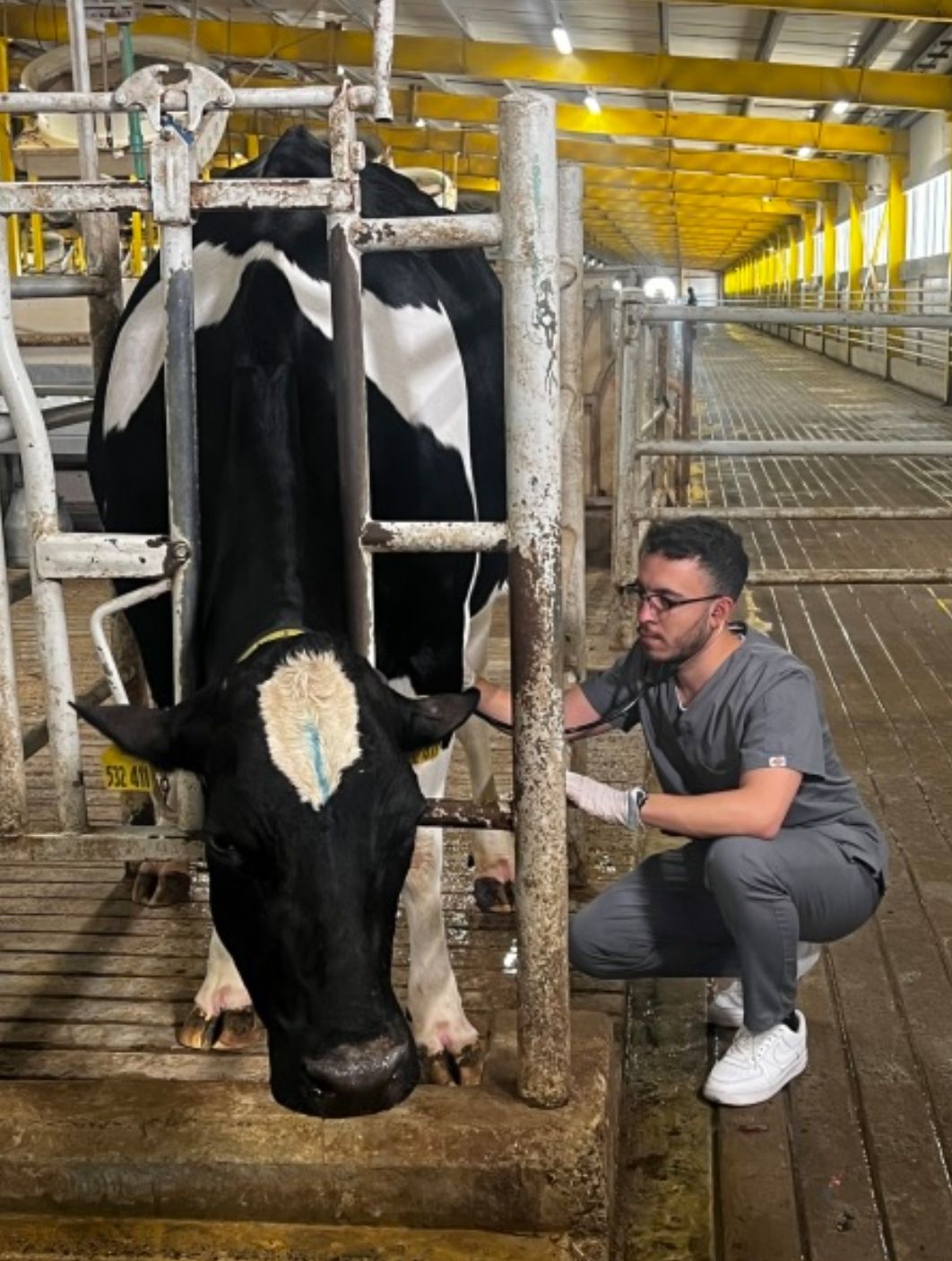 برنامج “نجوم العلوم” يسلط الضوء على استخدام الذكاء الاصطناعي في رعاية الحيوانات