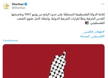 شاهد .. بعد عابد فهد .. شريهان في المأزق نفسه بسبب تصريحها عن فلسطين فهل تعتذر ؟