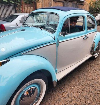 شاهد .. بالصور- أحمد الفيشاوي ينهي تصوير فيلم "عادل مش عادل" ويحمس الجمهور من الكواليس