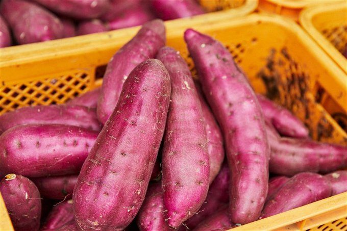 أخبار مصر | البطاطا الحلوة تتصدر قائمة الخضروات المصدرة هذا الأسبوع