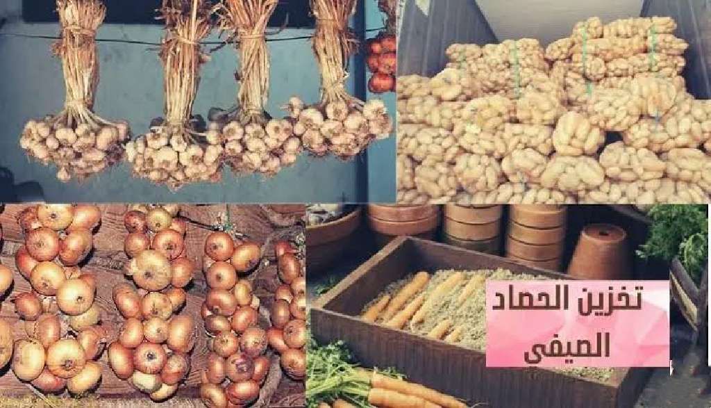 عاجل| الحكومة تعلن موعد انخفاض أسعار البطاطس.. هنعمل شيبسي للصبح