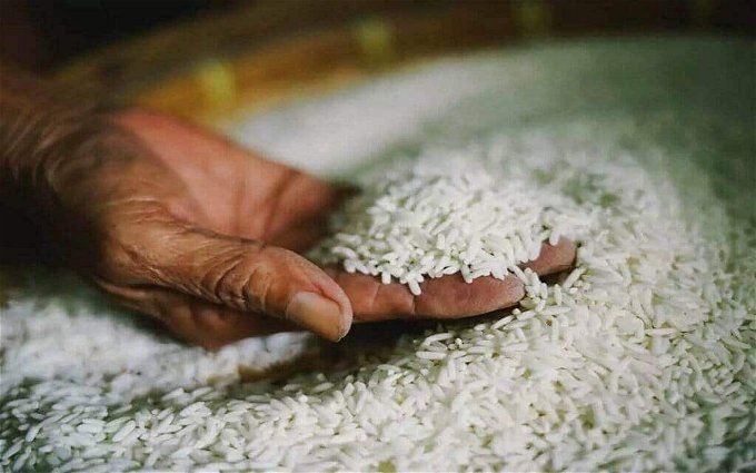 أخبار مصر | أسعار الأرز في مصر اليوم الأحد 15 أكتوبر.. طن الشعير نزل الأرض بقرار من الحكومة