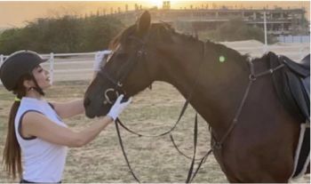 شاهد .. نسرين طافش بأحدث ظهور لها برفقة الحصان .. وما علاقة الخوارزميات ؟