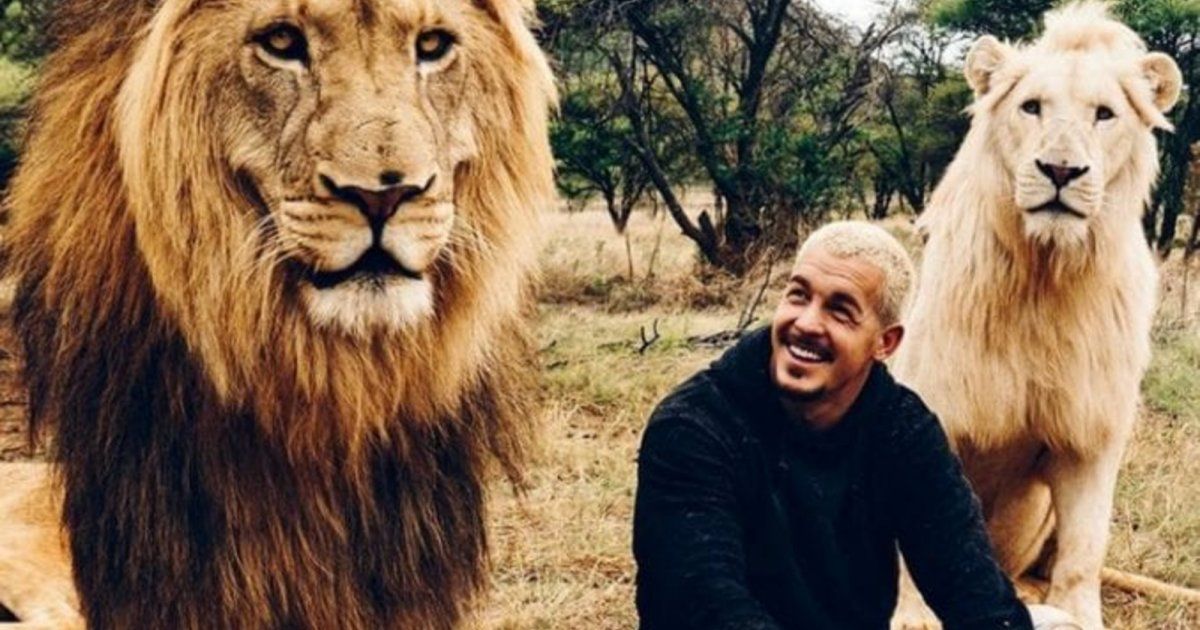 شاهد .. مروض الحيوانات الشهير دين شنايدر يدخل القفص الذهبي .. فمن هي العروس التي اختارها ؟