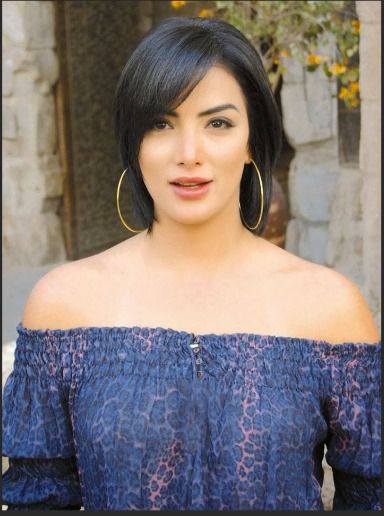 حورية فرغلي تتبرع بكامل أرباحها لـ أهالي غزة :جدعة يابنت الأصول