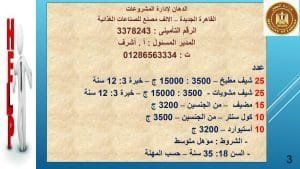 أخبار مصر | وظائف خالية وزارة العمل .. أكثر من 5000 فرصة عمل يلا التقديم عبر هذا الرابط