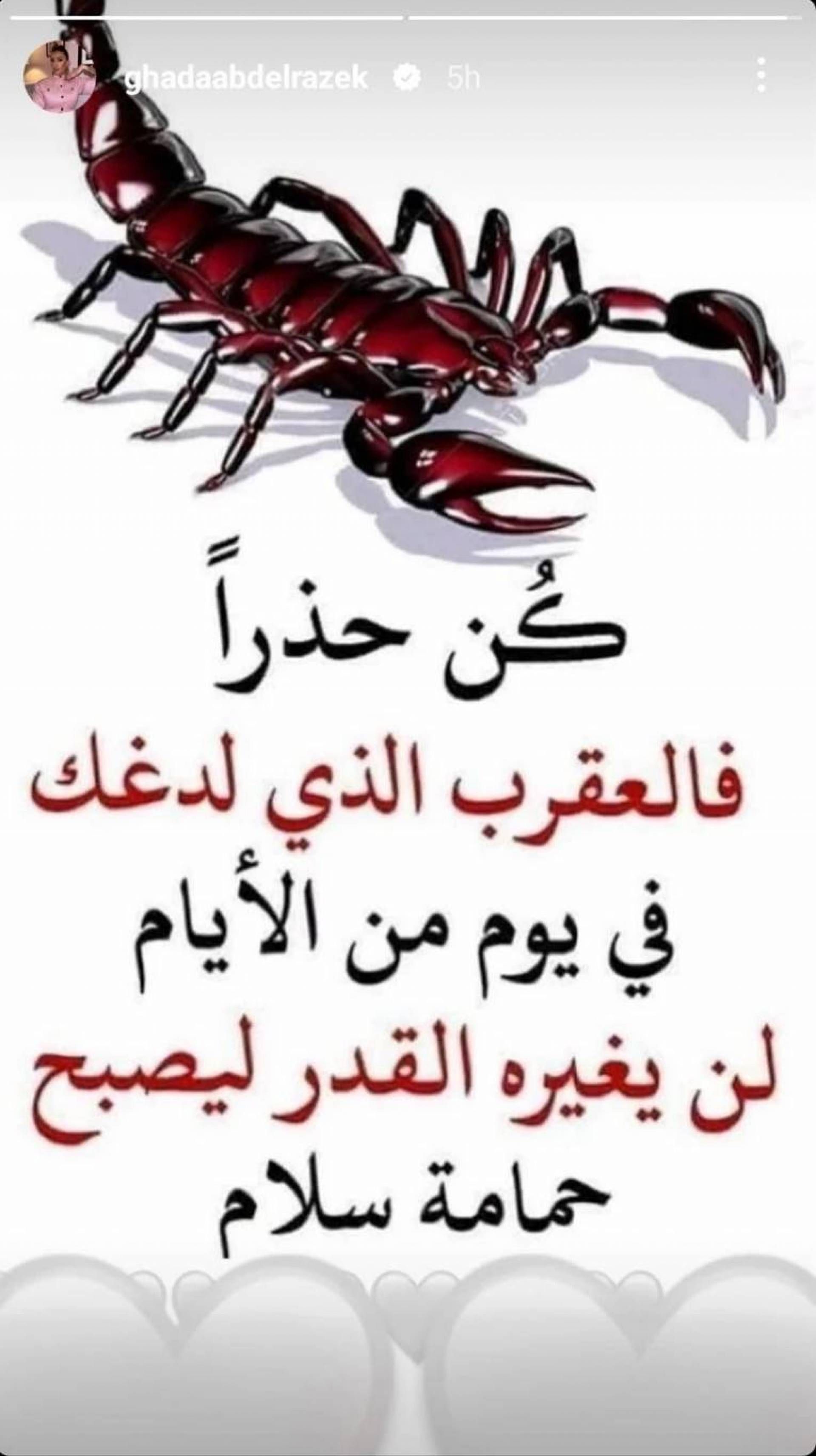 غادة عبد الرازق تثير الجدل بمقولة غريبة : قصدك مين !!