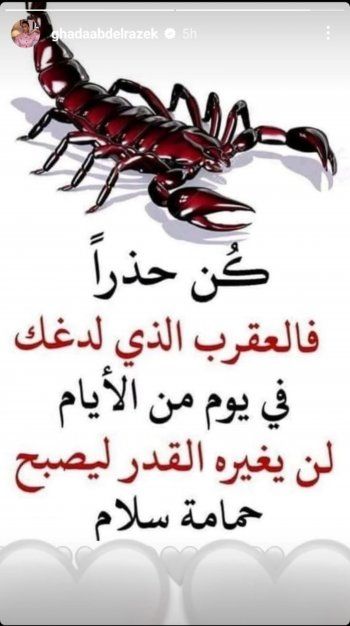 شاهد .. غادة عبد الرازق تحذر من التعامل مع هذا الشخص