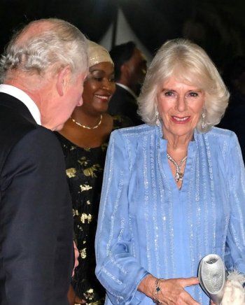 شاهد .. الملكة كاميلا تهتم بفيل صغير وحمار في كينيا