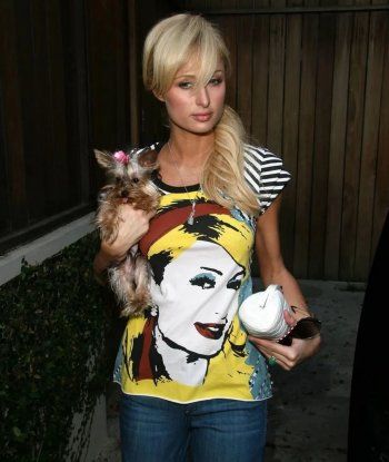 شاهد .. نجمات إرتدين تيشيرتات عليهن صورتهن آخرهن نانسي عجرم - بالصور