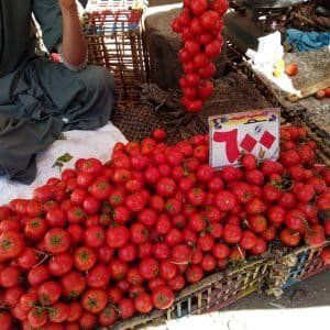 أخبار مصر | أسعار الطماطم اليوم السبت 4 نوفمبر 2023 … هتشري عداية لم تعرف وصلت كام