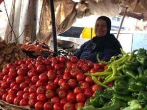 أخبار مصر | أسعار الطماطم اليوم السبت 4 نوفمبر 2023 … هتشري عداية لم تعرف وصلت كام