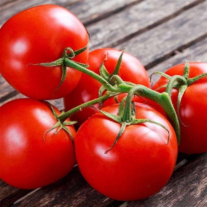 أخبار مصر | أسعار الطماطم اليوم السبت 4 نوفمبر 2023 … هتشري عداية لم تعرف وصلت كام