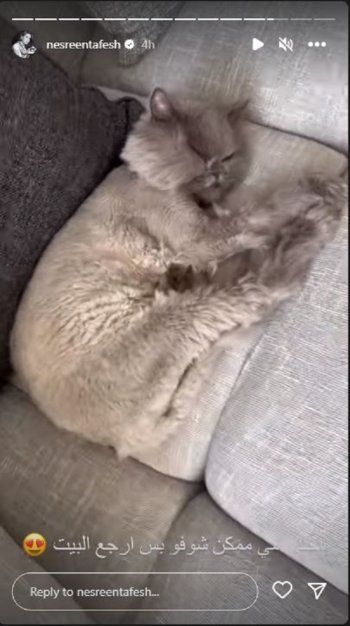 شاهد .. نسرين طافش تكشف عن أجمل ما تجده عندما تعود إلى المنزل.. شاهدوا