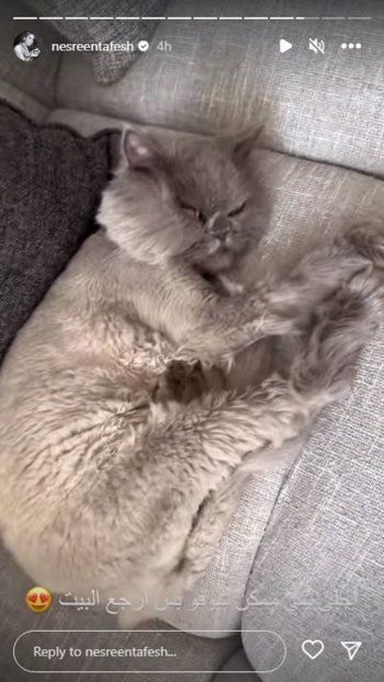 شاهد .. نسرين طافش تكشف عن أجمل ما تجده عندما تعود إلى المنزل.. شاهدوا