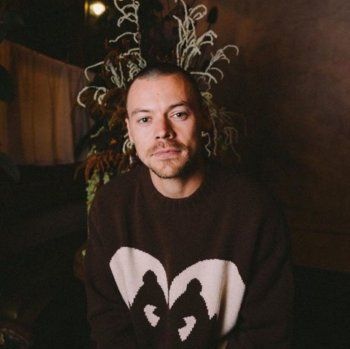 شاهد .. هاري ستايلز بلوك جديد..بالصورة