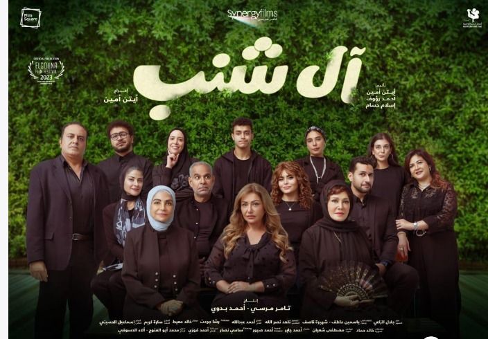 ال شنب في السينمات ٢٩ نوفمبر : امانشوف