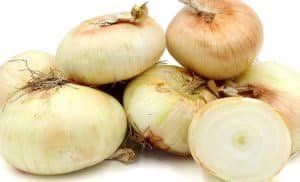 أخبار مصر | سعر البصل اليوم السبت 18 نوفمبر 2023 .. خلاص زمان الزيادة راح