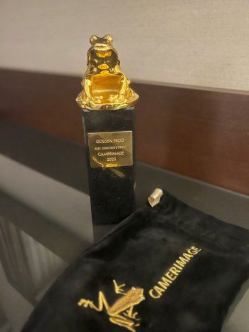 شاهد .. " إنشالله ولد " ينال جائزته العاشرة