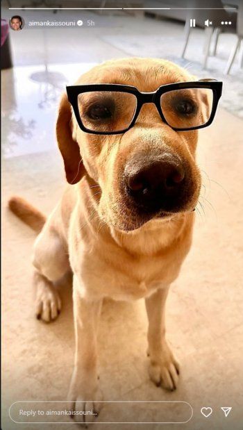 شاهد .. بالصورة- كلب أيمن قيسوني يخطف القلوب بخفة ظله..وهكذ ظهر