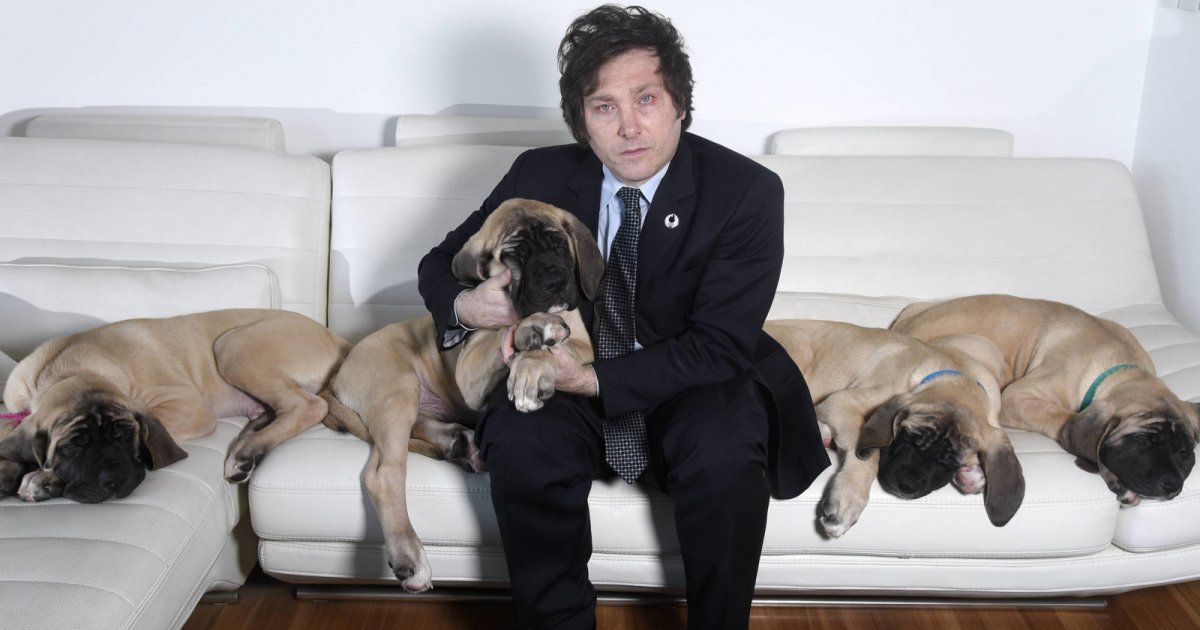 شاهد .. الرئيس الأرجنتيني يثير الجدل بغرائبه واعتقاداته عن فريقه الإستراتيجي من الكلاب