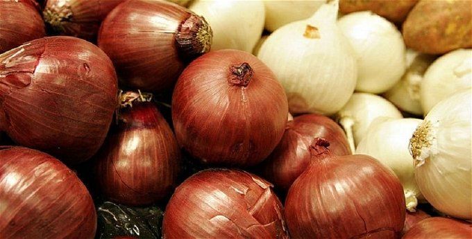 أخبار مصر | سعر البصل اليوم الجمعة 24 نوفمبر 2023 .. يا ست هانم الأسعار اتغيرت خالص