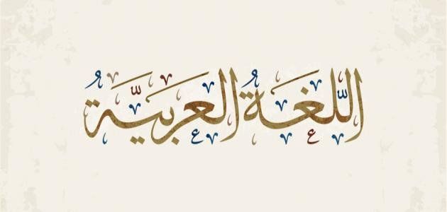 أخبار مصر | ما هو مفرد القرائح؟.. أعرف معناها ومضادها في معاجم اللغة العربية