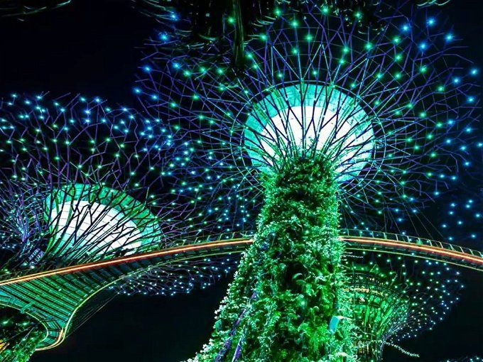 حجز ونتر جاردن الرياض 2023.. الرابط وأسعار التذاكر