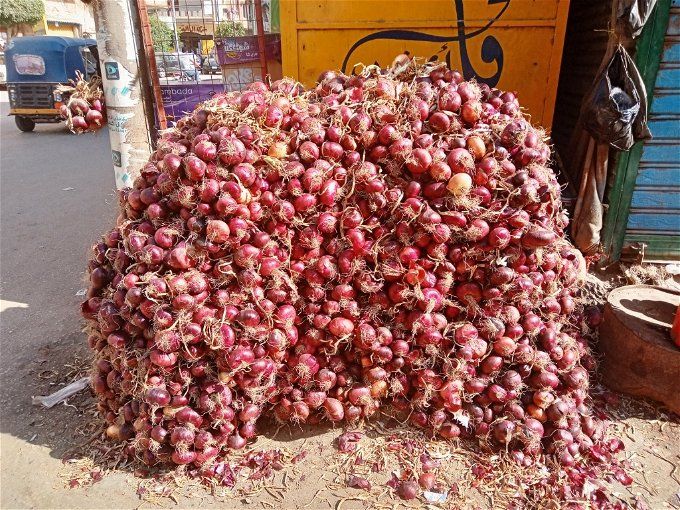 أخبار مصر | سعر البصل اليوم الاثنين 27 نوفمبر 2023 .. يا سعدك ياللي تشتري النهاردة