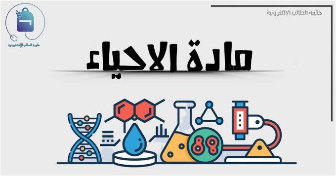 أخبار مصر | مقرر شهر نوفمبر للصف الثاني الثانوي 2024 علمي في كل المواد