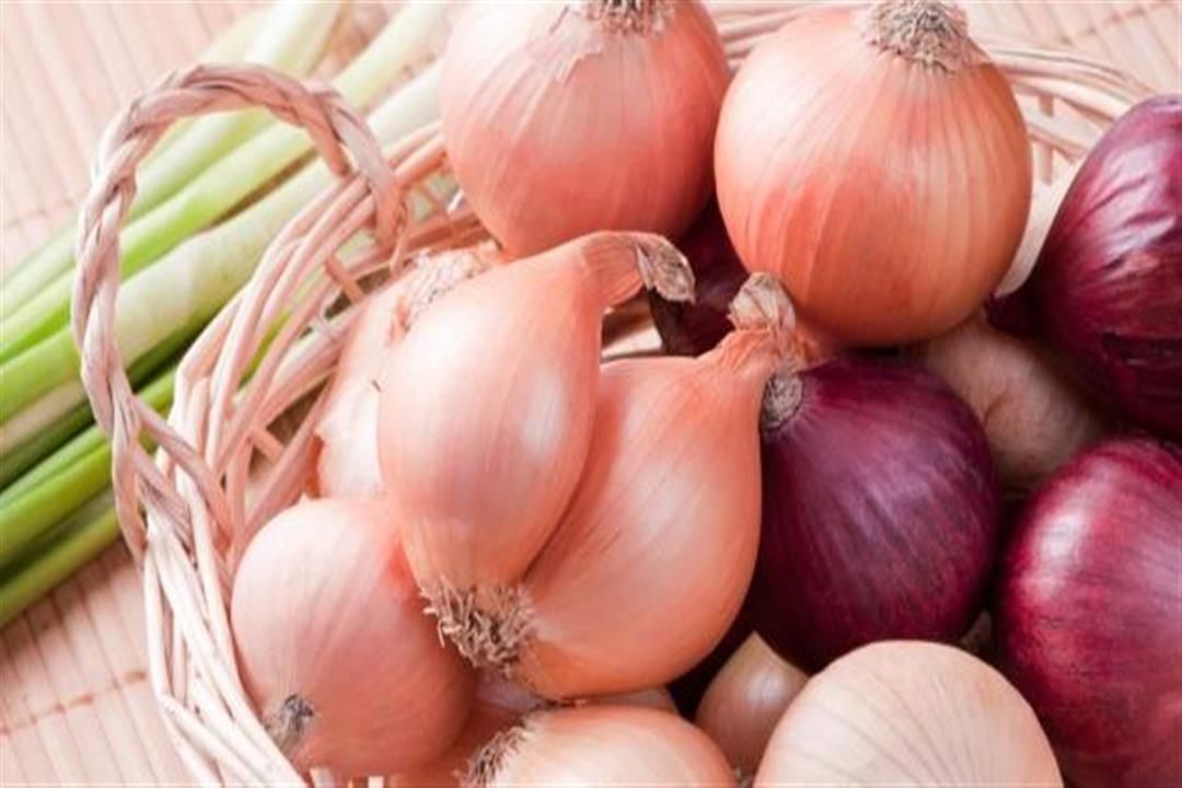 سعر البصل اليوم.. قائمة بأسعار الخضار والفاكهة في سوق العبور