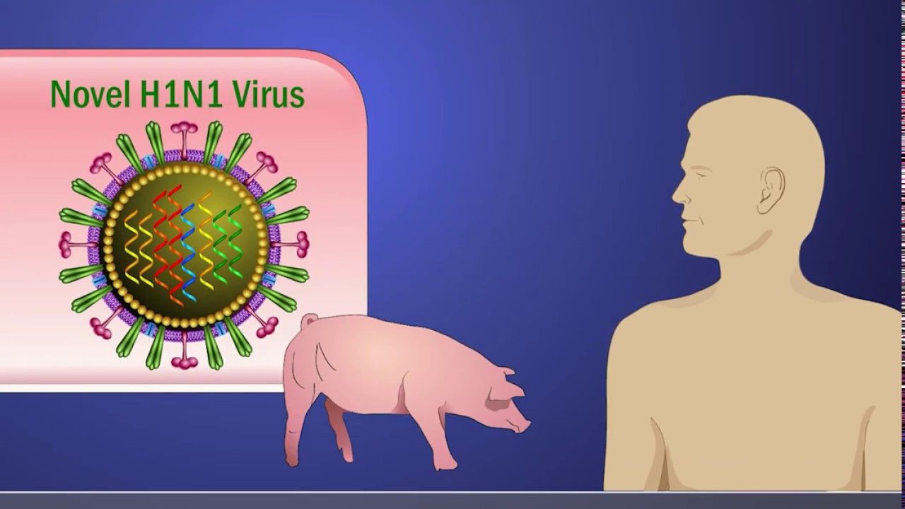 فيروس H1N1