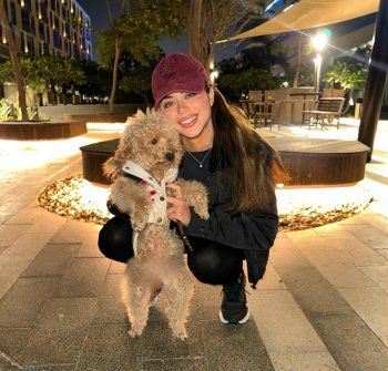 شاهد .. بالصورة - كلب يارا السكري يخطف قلوب الجمهور بلطافته..وهكذا ظهر