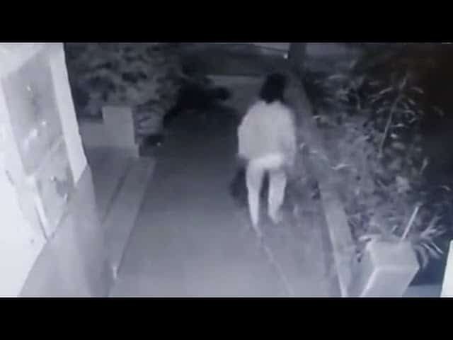 قصة سفاحة الشيخ زايد