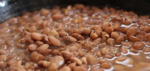 أخبار مصر | مواعيد زراعة الفول البلدي في مصر لموسم 2023- 2024.. التفاصيل الكاملة