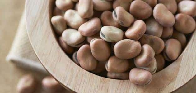 أخبار مصر | مواعيد زراعة الفول البلدي في مصر لموسم 2023- 2024.. التفاصيل الكاملة