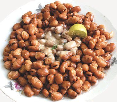 أخبار مصر | مواعيد زراعة الفول البلدي في مصر لموسم 2023- 2024.. التفاصيل الكاملة